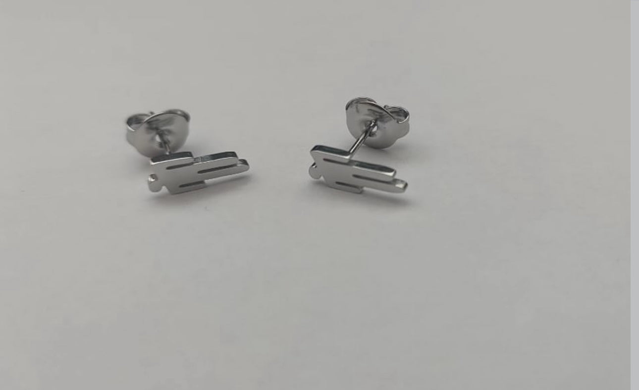 Blohsh Silver Earrings Stainless Steel Waterproof Non-Tarnish